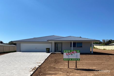 11 Hollingsworth Dr, Gulgong, NSW 2852