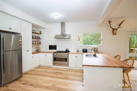 Property photo of 1895 Warburton-Woods Point Road Reefton VIC 3799