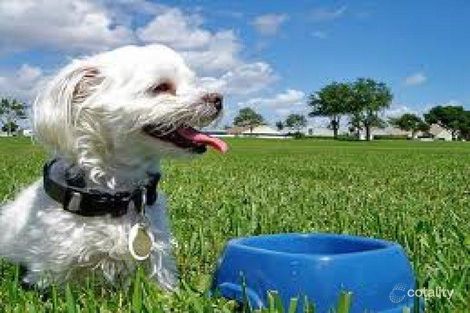 104/6 Morton Ave, Carnegie, VIC 3163