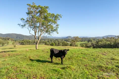 Property photo of 2898 The Bucketts Way Stroud NSW 2425