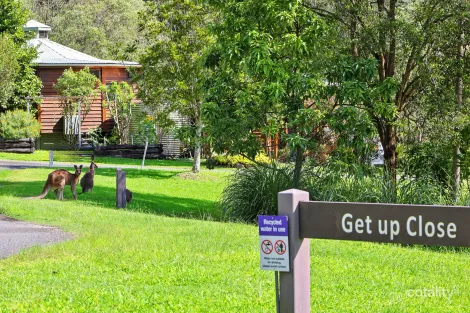 Property photo of 2 Getup Close Currumbin Valley QLD 4223