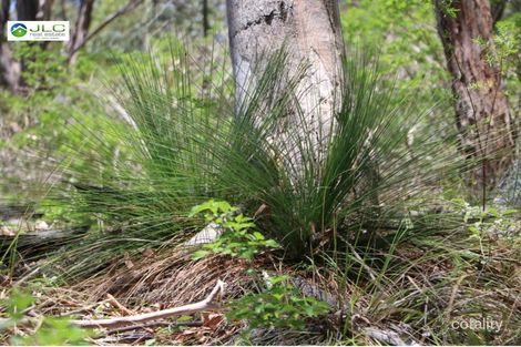 46 Hopgood Rd, Elbow Valley, QLD 4370