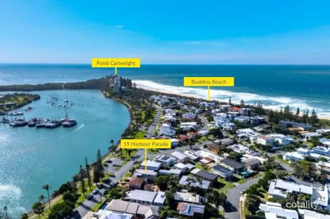 Property photo of 19 Harbour Buddina QLD 4575