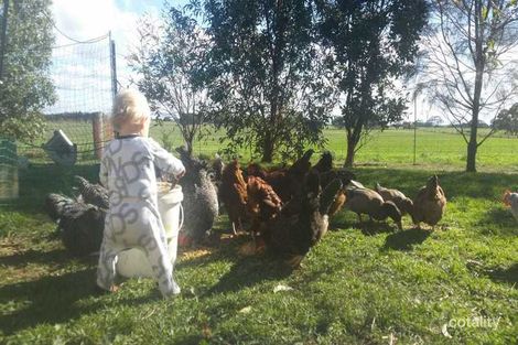 Property photo of 106 Whites Road Purnim VIC 3278