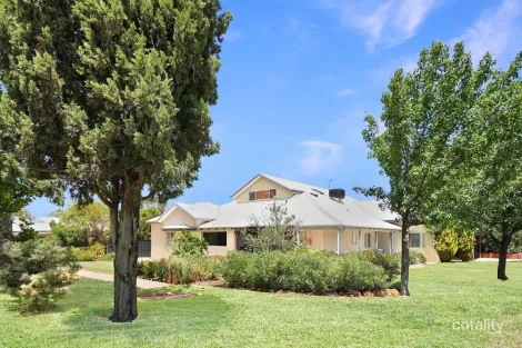 Property photo of 8 Animoo Avenue Griffith NSW 2680