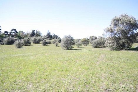 Property photo of 29 Winders Lane Lochinvar NSW 2321