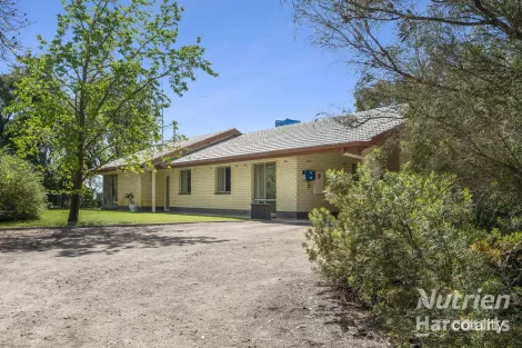 Property photo of 63 Murtho Road Paringa SA 5340