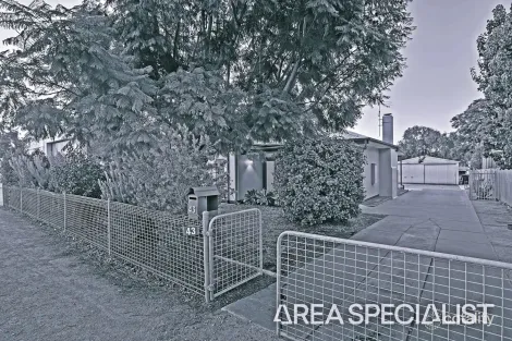 Property photo of 43 Box Street Merbein VIC 3505
