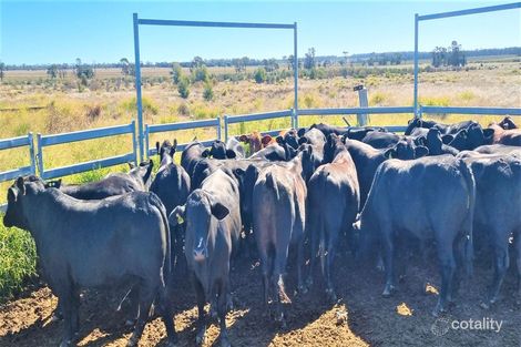 500 Lambing Flat Rd, Jackson North, QLD 4426