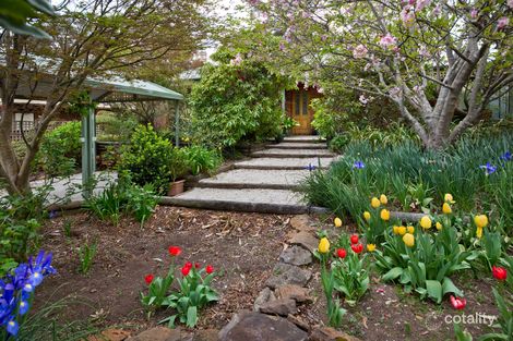 Property photo of 17 St Andrews Avenue Blackheath NSW 2785