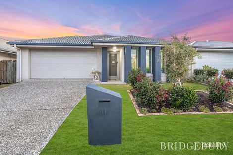 Property photo of 11 Monarch Avenue Narangba QLD 4504