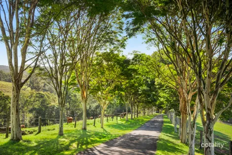 216 Jorgensen Rd, Ridgewood, QLD 4563