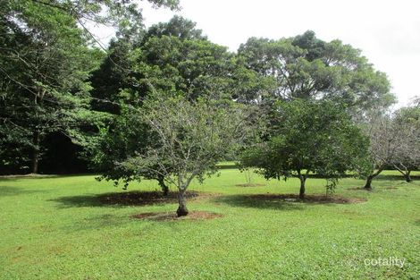 Property photo of 125 Hogan Road Tarzali QLD 4885