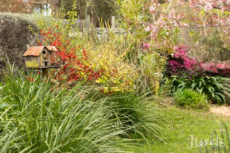 25 Wollong Rd, Quorrobolong, NSW 2325