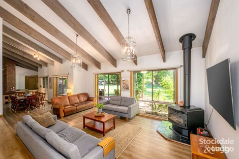 Property photo of 7 Brian Court Grahamvale VIC 3631