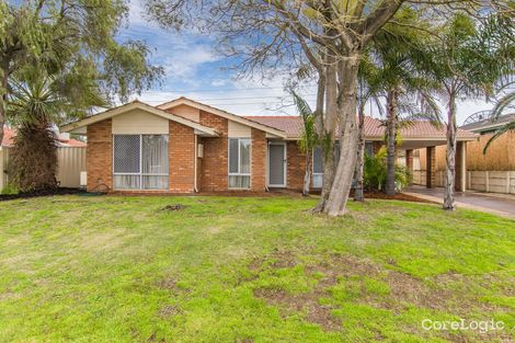 Property photo of 45 Dotterel Way Yangebup WA 6164