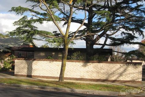 Property photo of 3/24 Devon Street Cheltenham VIC 3192