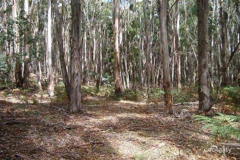 Property photo of 310 Springhill Road Spring Hill VIC 3444