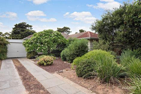 Property photo of 3 Seymour Grove Brighton SA 5048