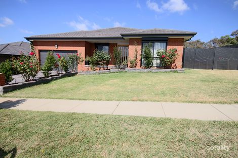 Property photo of 31 Maris King Street Casey ACT 2913