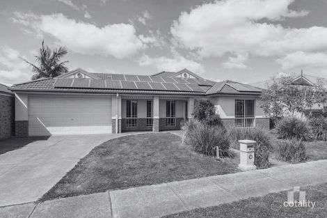 Property photo of 37 Red Angus Crescent Doreen VIC 3754