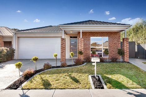 19 Rowell Dr, Mernda, VIC 3754