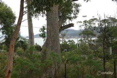 501 White Beach Rd, White Beach, TAS 7184