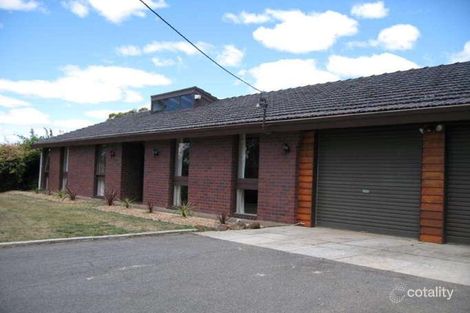 99 Punchbowl Rd, Punchbowl, TAS 7249