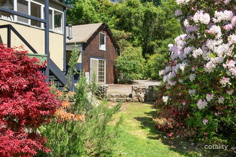 Property photo of 241 Wattamolla Road Woodhill NSW 2535