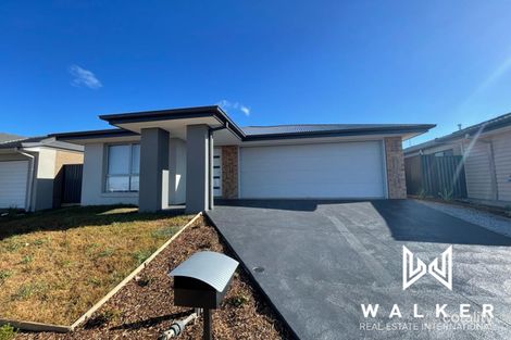 43 Adelong Bvd, Cobblebank, VIC 3338