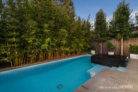 Property photo of 43 Brandon Street Glen Iris VIC 3146