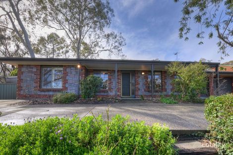 21 Blackthorn Ave, Hawthorndene, SA 5051