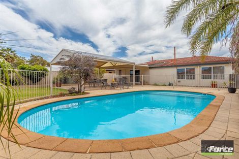 17 Penguin St, Dianella, WA 6059