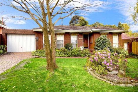 Property photo of 175 Hawthorn Road Vermont South VIC 3133