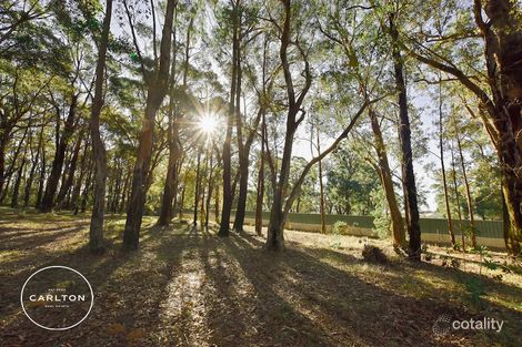 Property photo of 10 Drapers Road Willow Vale NSW 2575