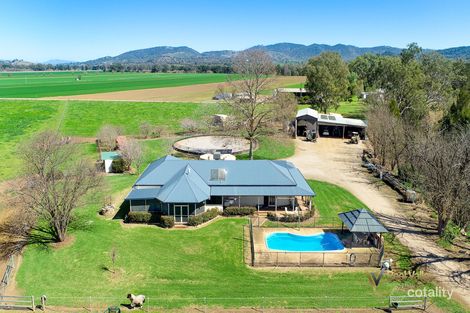 773 Back Kootingal Rd, Kootingal, NSW 2352