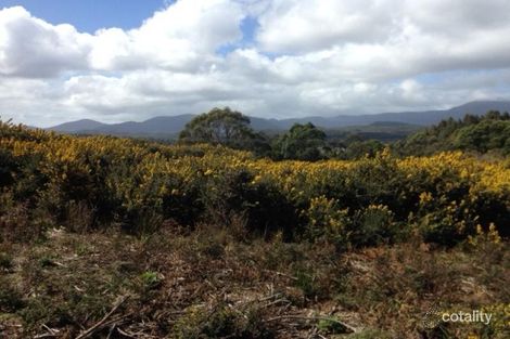 5 Buller St, Zeehan, TAS 7469