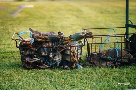 Property photo of 10 Rankin Court Armstrong Beach QLD 4737