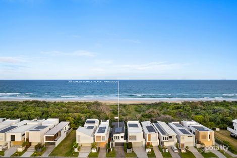 Property photo of 39 Green Turtle Place Marcoola QLD 4564