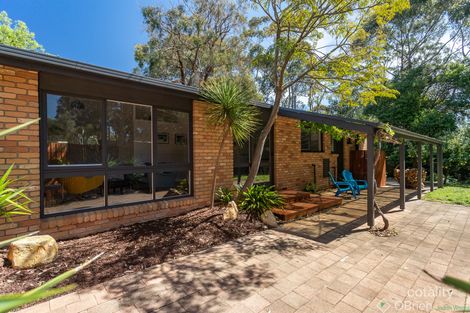 Property photo of 4 Hill Court Cowes VIC 3922