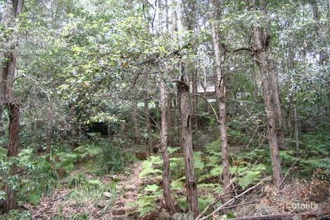 Property photo of 7 Cooper Crescent Wahroonga NSW 2076