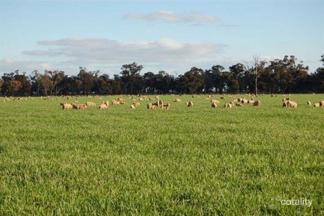 892 Ardlethan Rd, Coolamon, NSW 2701