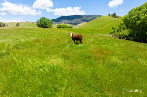 482 Soldier Settlers Rd, Tallangatta Valley, VIC 3701