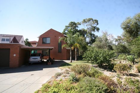 1 Rostrata St, Lockleys, SA 5032