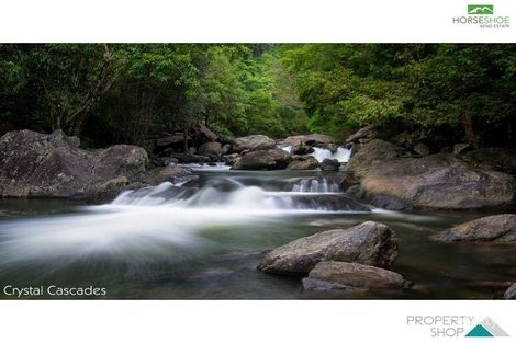 Property photo of 41 Giauca Street Redlynch QLD 4870