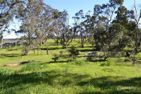 Property photo of 2975 Sturt Highway Nuriootpa SA 5355