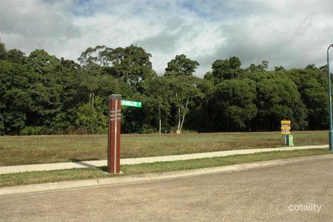 Property photo of 25 Muller Street Palm Cove QLD 4879