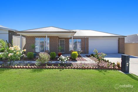 16 Jensen Cres, Wodonga, VIC 3690
