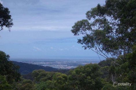 Property photo of 49 Kinabalu Drive Tamborine Mountain QLD 4272