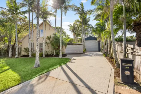 Property photo of 39 Cypress Street Kuluin QLD 4558